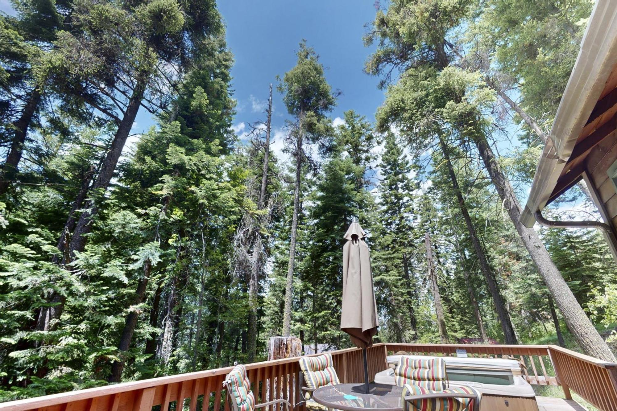 Pine Cone Cottage Joseph Екстер'єр фото
